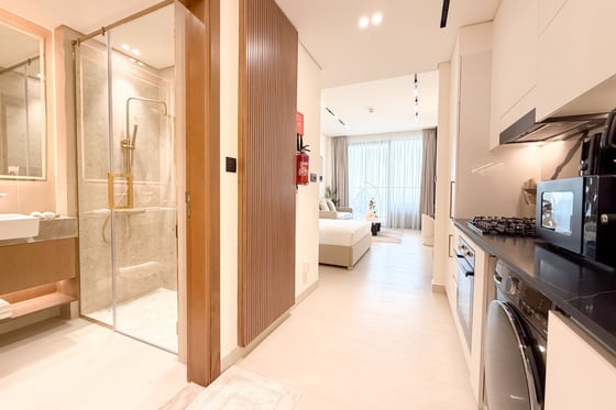 Luxury Furnished | High Floor | Large Studio, picture 14