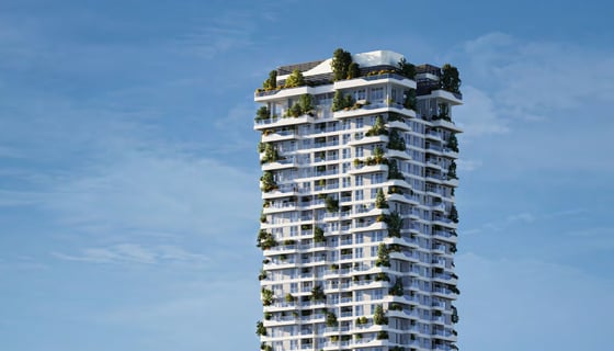 Talea by Beyond, picture 1